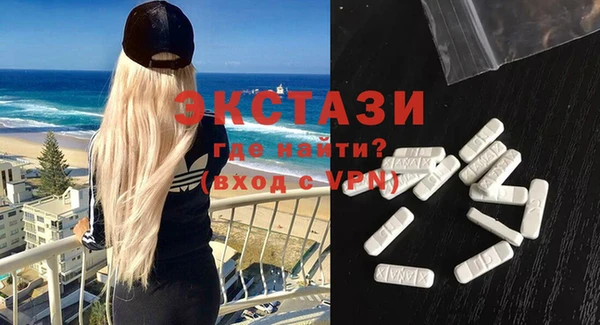 ECSTASY Богородицк